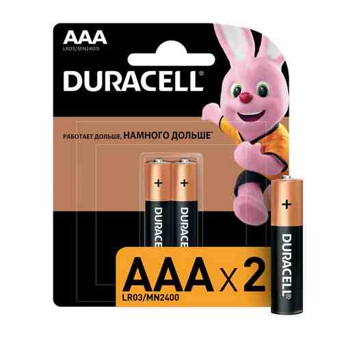 Батарейка DURACELL LR03 BP2 2 шт арт. 1000828487