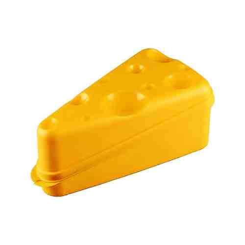 Контейнер для сыра, 19,8х7,5х10,6 см, полипропилен арт. 1001028130