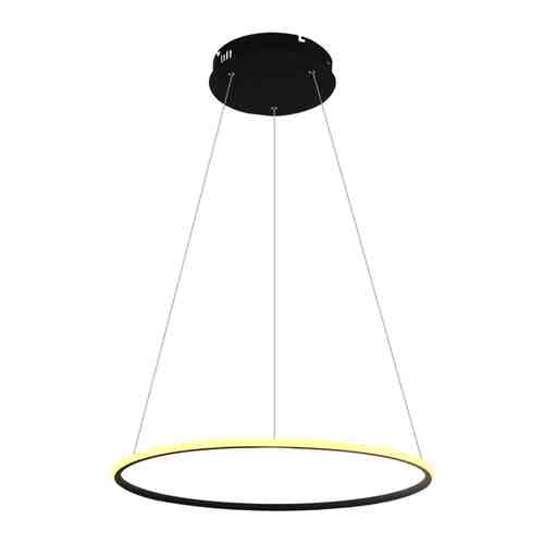 Люстра подвесная ARTE LAMP Rapid 1х36Вт LED металл черный арт. 1001287560