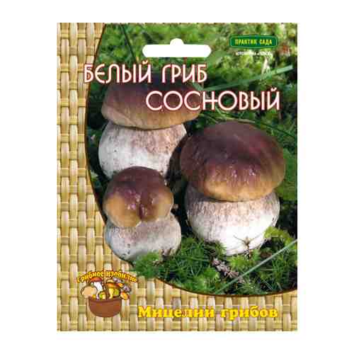 Мицелий грибов Белый гриб сосновый 60мл арт. 1001255297