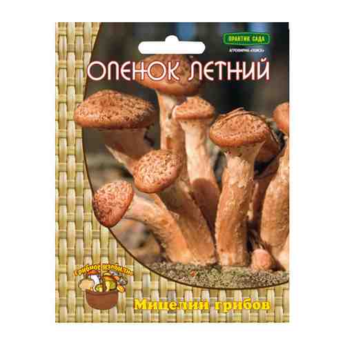 Мицелий грибов Опенок летний 12 др.п. арт. 1001255294