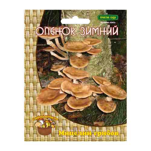 Мицелий грибов Опенок зимний 12 др.п. арт. 1001255293