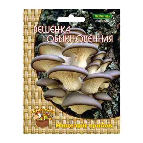 Мицелий грибов Вешенка обыкновенная 12 др.п. арт. 1001255292