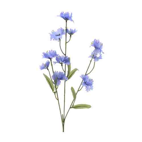 Растение искусственное Василёк голубой 55см арт. 1001117828