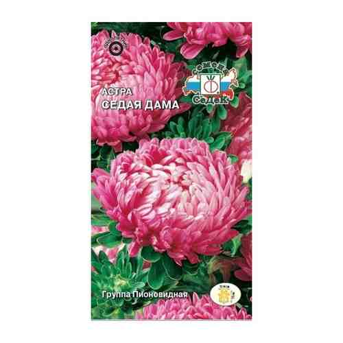 Семена Астра Седая дама пионовидная малиново-розовая с проседью арт. 1001363392