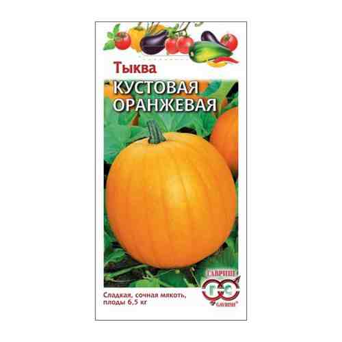 Семена Тыква Кустовая оранжевая 1г арт. 1001427233