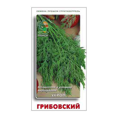 Семена Укроп Грибовский 3г арт. 1001158989