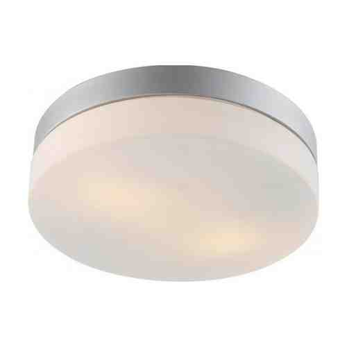 Светильник настенно-потолочный для ванной Aqua 2х60Вт E27 230В металл крашеный серебро арт. 1001162157