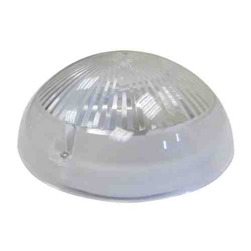 Светильник настенно-потолочный ВЭП СВЕТ Сириус большой LED 6Вт прозрачный арт. 1001300434