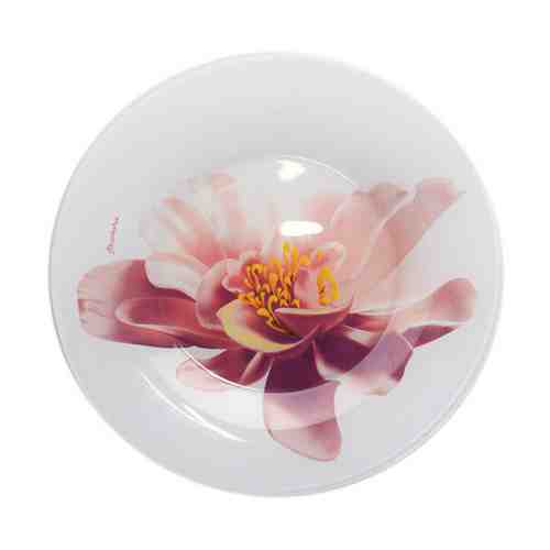 Тарелка PASABAHCE Water Lily 19,5см десертная стекло арт. 1001038253